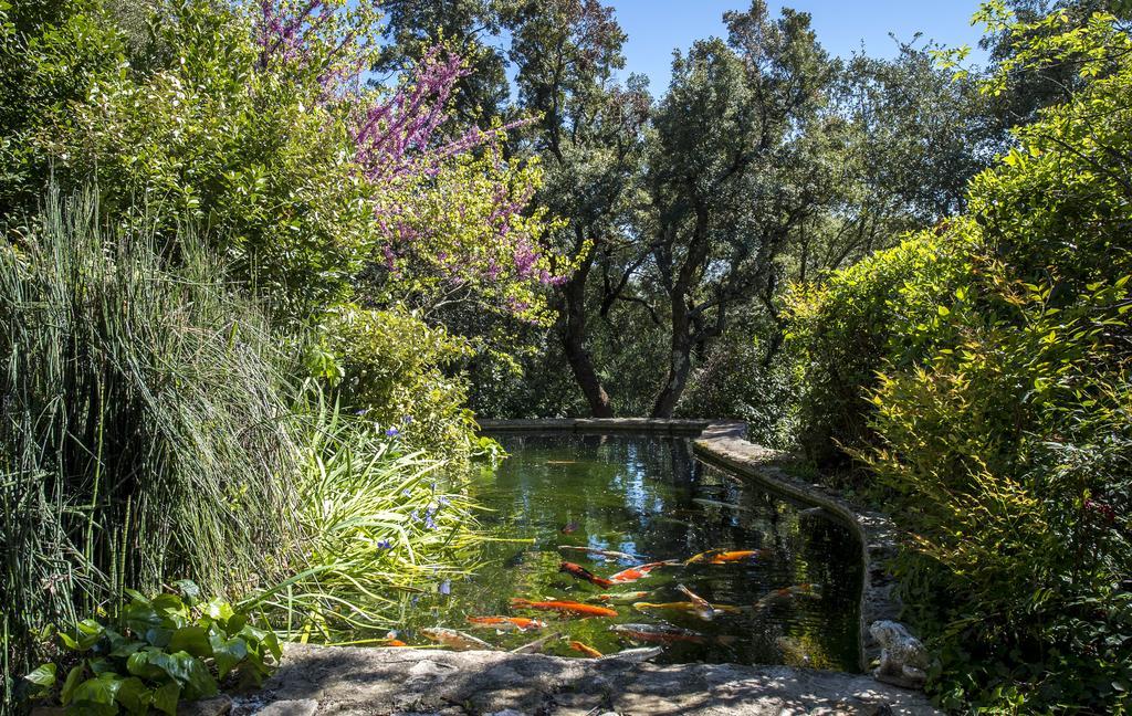 Saint-Marc-Jaumegarde La Ferme B&B 외부 사진